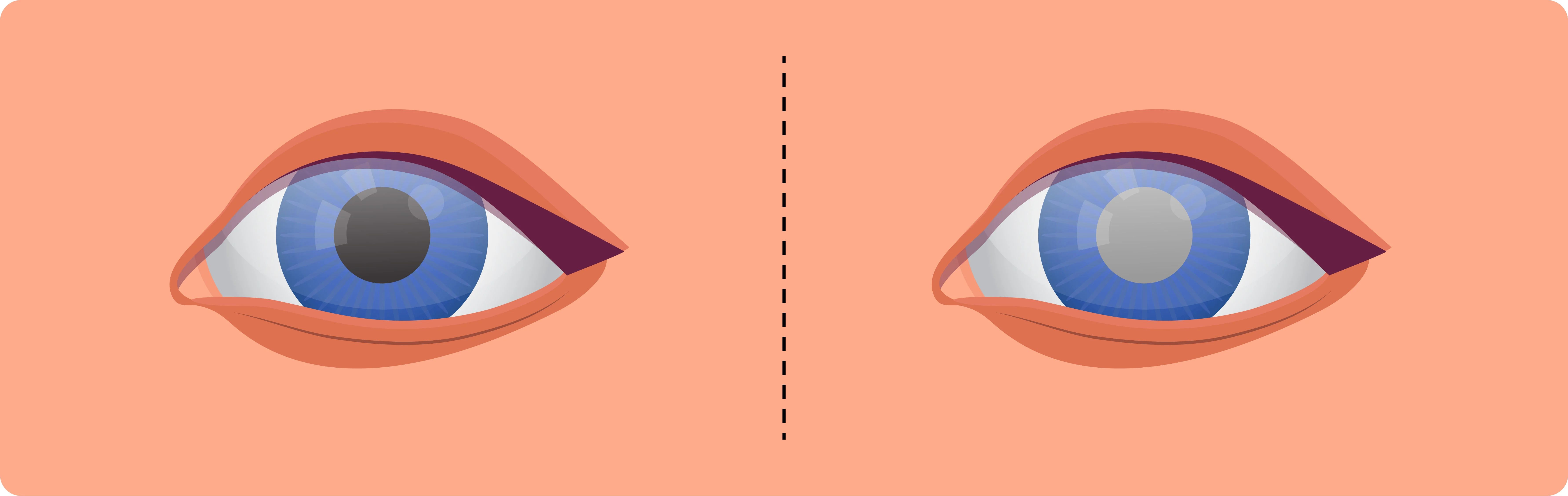 微信圖片_20250730093724 微信圖片_20250730093724