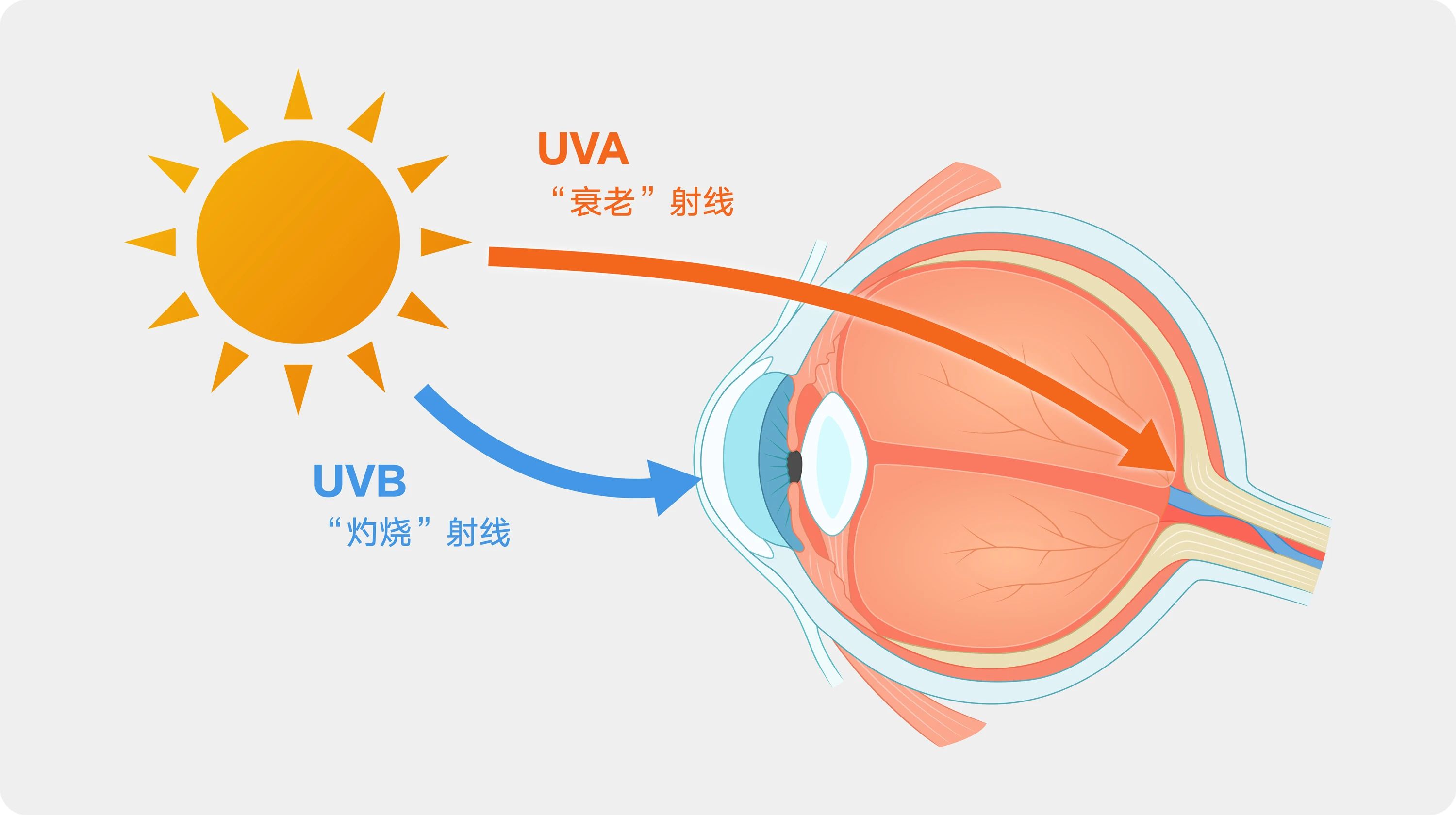 微信圖片_20250730093659 微信圖片_20250730093659