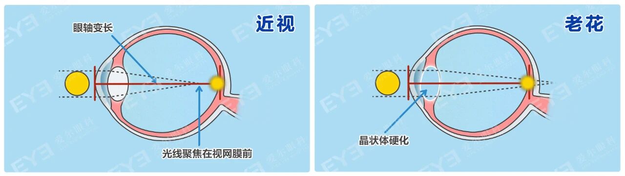 微信圖片_2025-10-31_102753_064