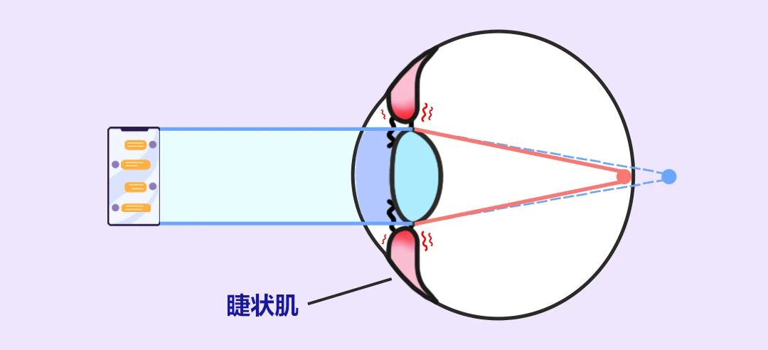 微信圖片_2025-10-16_151408_561