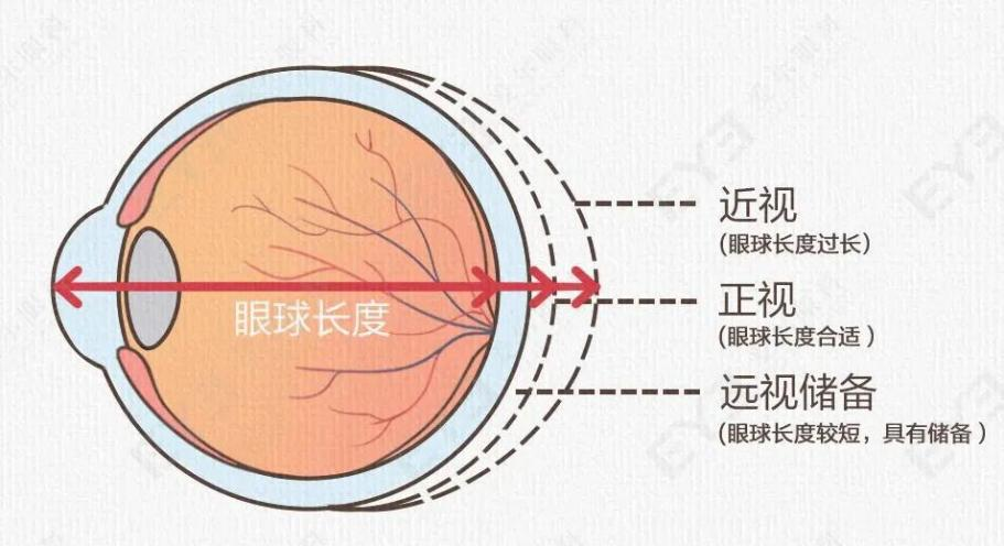 微信圖片_2025-11-16_100843_253 微信圖片_2025-11-16_100843_253
